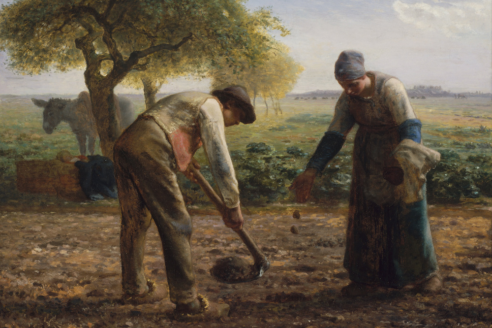 Why have artists found potatoes so appealing?