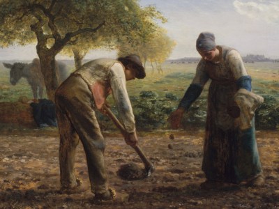 Why have artists found potatoes so appealing?