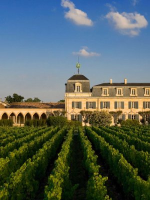 The Bordeaux vineyard with a taste for the divine