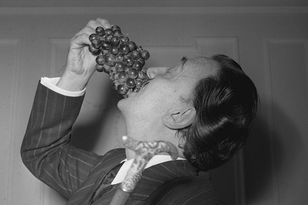 Salvador Dalí’s grape expectations